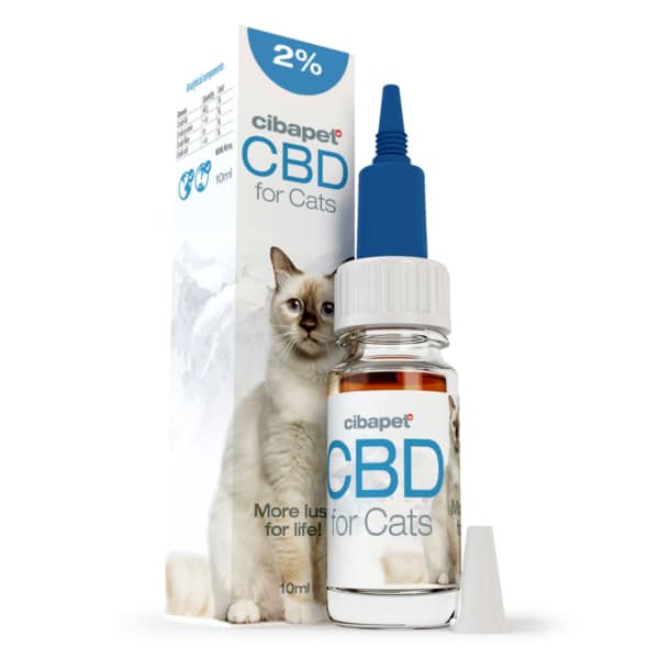 En kat, der sidder ved siden af en flaske Cibapet CBD kapsler til katte (1,3 mg).