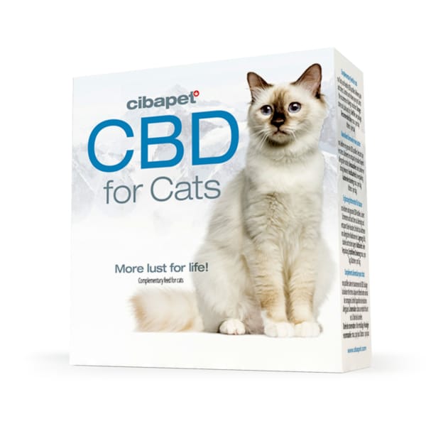 En æske Cibapet CBD kapsler til katte (1,3 mg) på hvid baggrund.