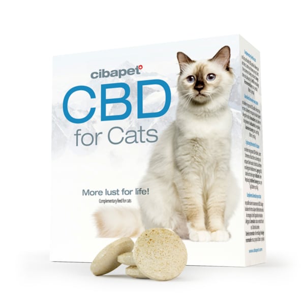 En æske Cibapet CBD kapsler til katte (1,3 mg) med en kat ved siden af.