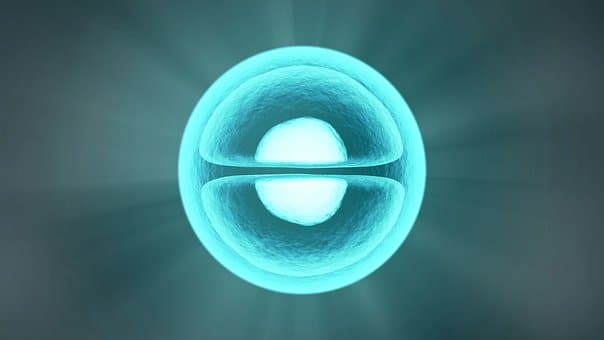 Et billede af et æg med et blåt lys, der skinner igennem det.