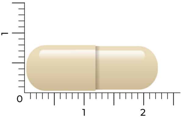 En beige kapsel af Vitakruid – Bufret Vitamin C® (90 veganske kapsler) er vist ved siden af en lineal, der måler cirka 2 centimeter i længden.