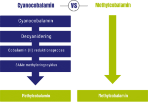 Flowchart, der sammenligner cyanocobalamin og methylcobalamin: Cyanocobalamin skal decyanideres før brug, hvorimod methylcobalamin er direkte tilgængelig. Gå på opdagelse i både Vitakruid – Multi Dag & Nat® Kvinde (2 x 30 tabletter).