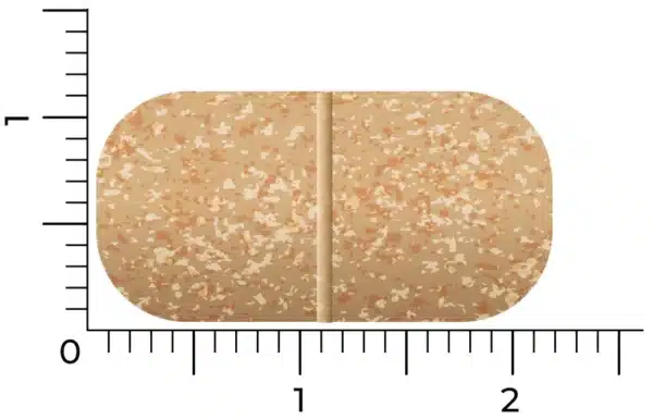 En brun, plettet, aflang Vitakruid – Multi Dag & Nat® Kvinde-tablet (2 x 30 stk.) med en midterkærv er vist ved siden af en lineal markeret i tommer.