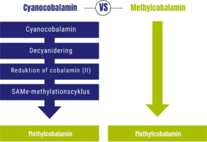 Flowchart, der sammenligner Vitakruid – Multi Dag & Nat® Mama viser cyanocobalamins konverteringstrin versus methylcobalamins direkte vej.