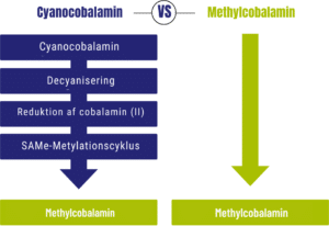 Flowchart, der viser Methylcobalamins direkte konvertering med ét trin versus Cyanocobalamins flertrinsproces. For et mere effektivt supplement, overvej Vitakruid – B12 Combi 6000® med folat og P-5-P (60 smeltetabletter).