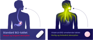 Diagram, der sammenligner standard B12 tabletter med Vitakruid – B12 Combi 6000® smeltbare tabletter, med fokus på forskelle i absorptionshastighed og effektivitet i kroppen.